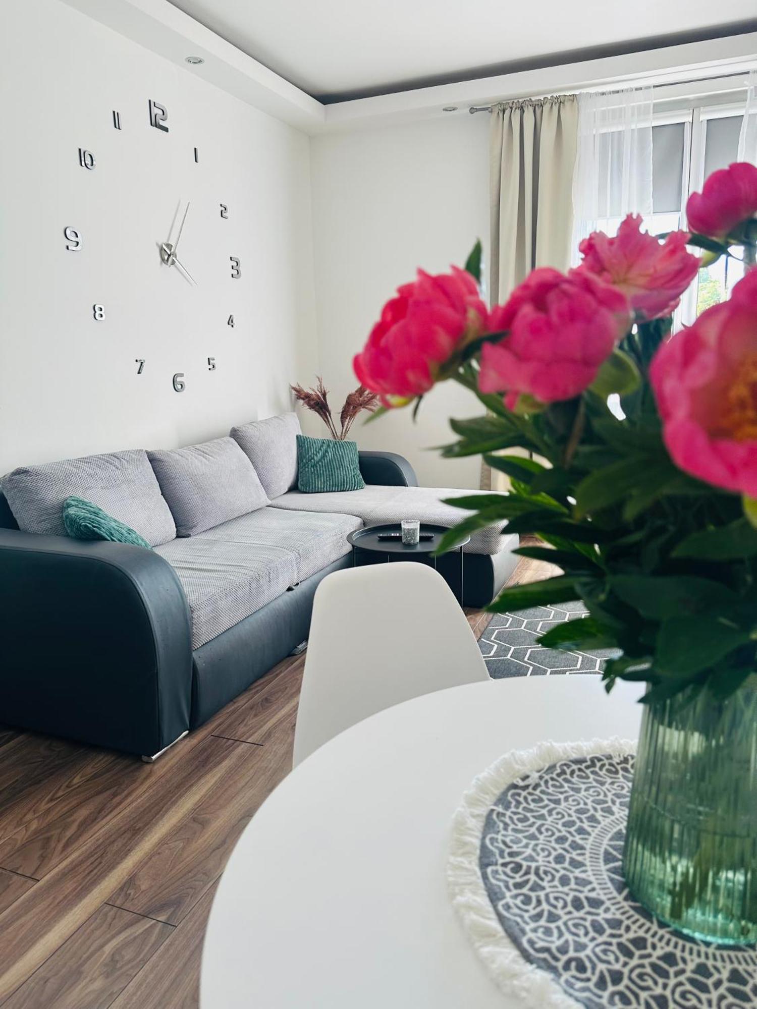 City Apartment Czestochowa Centrum 2-Bedroom エクステリア 写真