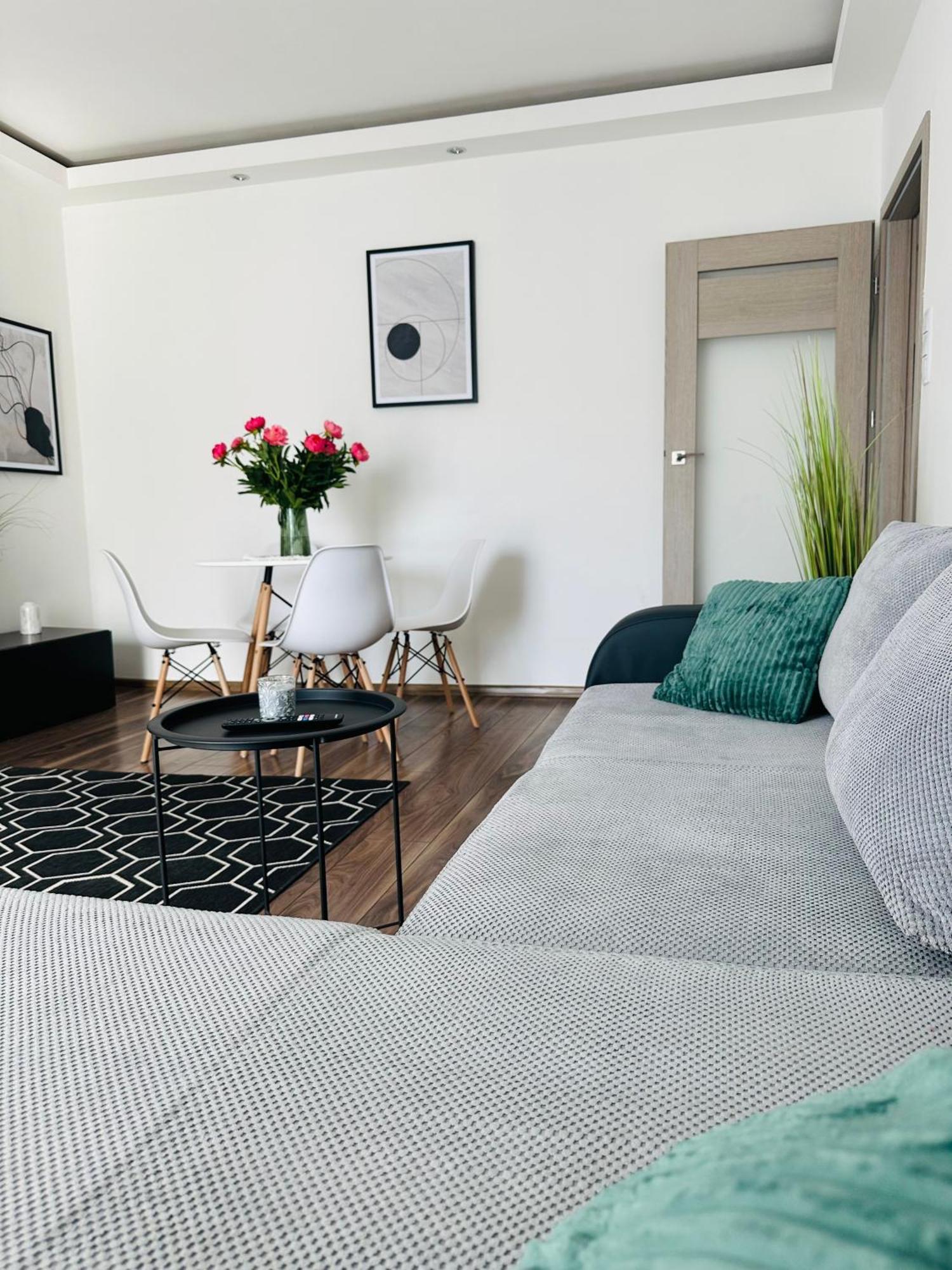 City Apartment Czestochowa Centrum 2-Bedroom エクステリア 写真